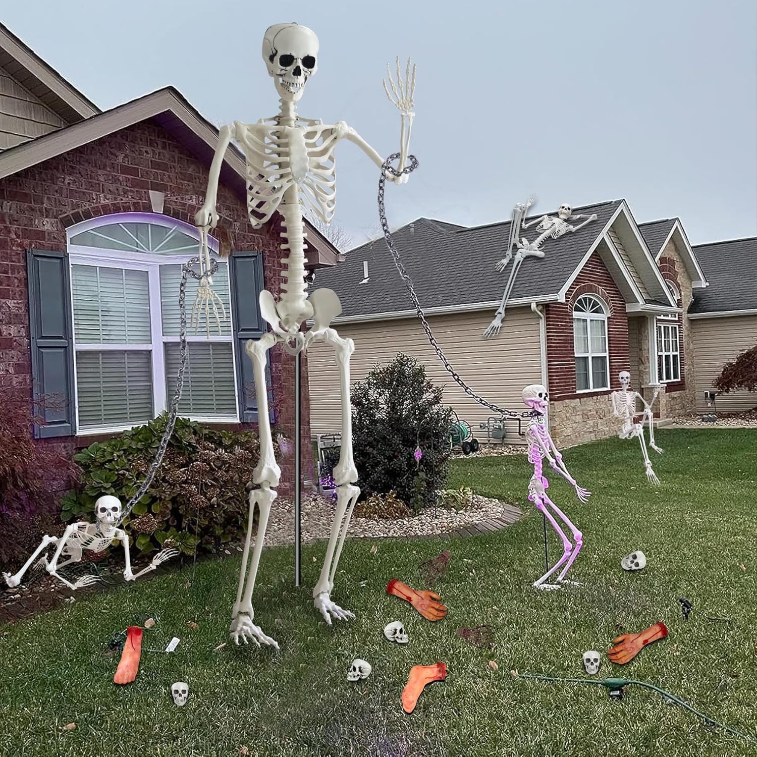Tall 7.9-foot skeleton standing in a front yard, a Halloween prop.